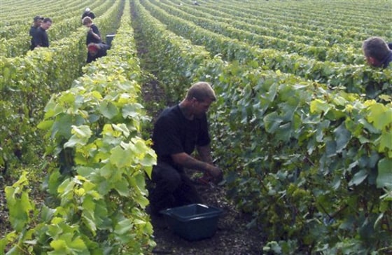 French exports of wine and spirits fell 17 percent last year. 